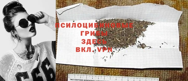 ГАЛЛЮЦИНОГЕННЫЕ ГРИБЫ Богородск