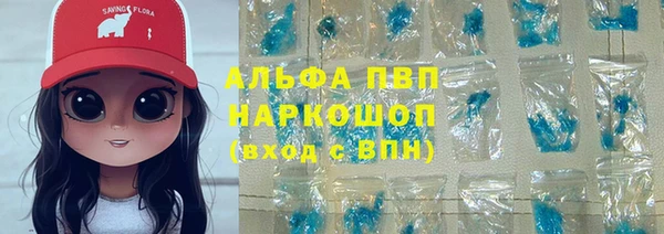 СК Богородицк